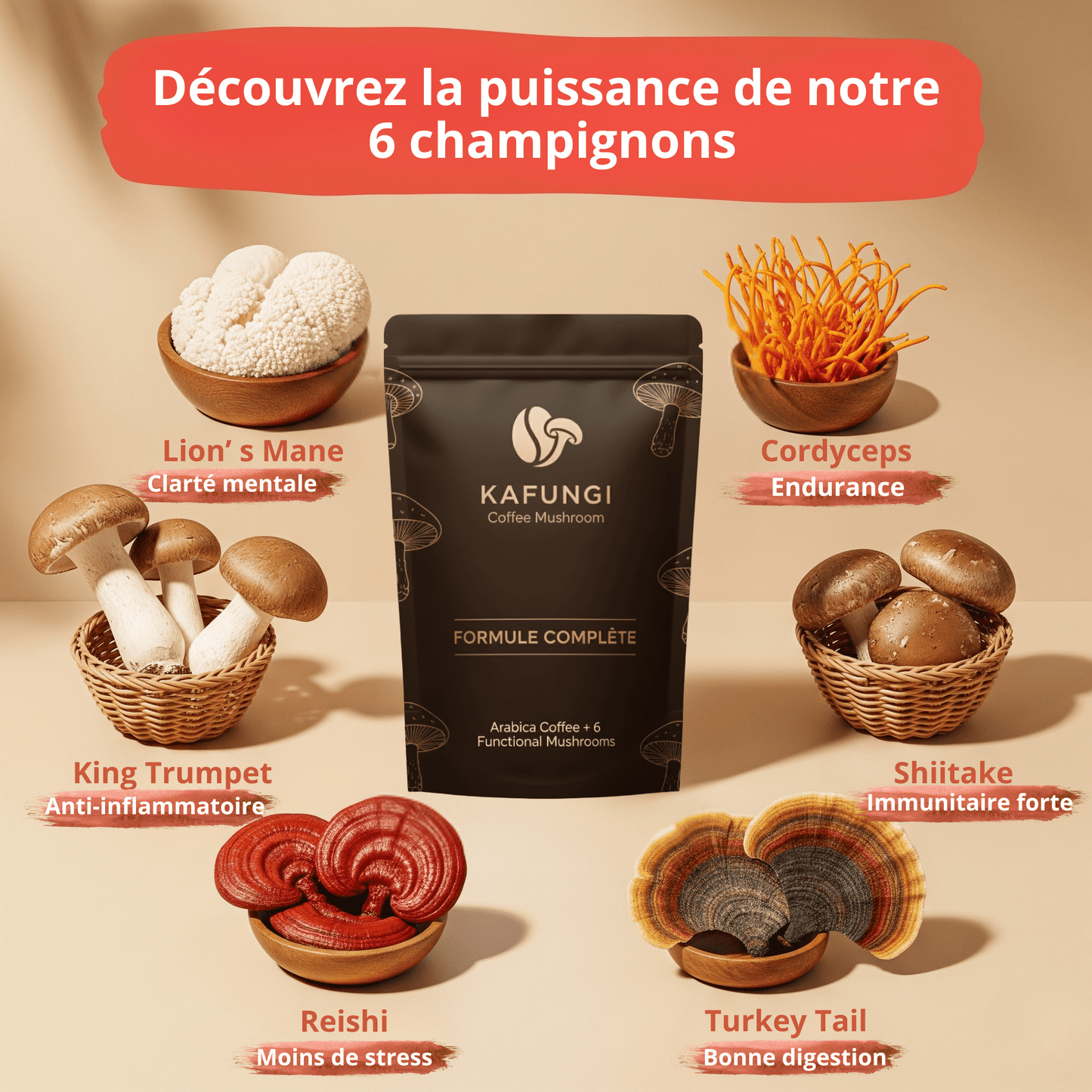 KAFUNGI Café Bio aux 6 Champignons Médicinaux