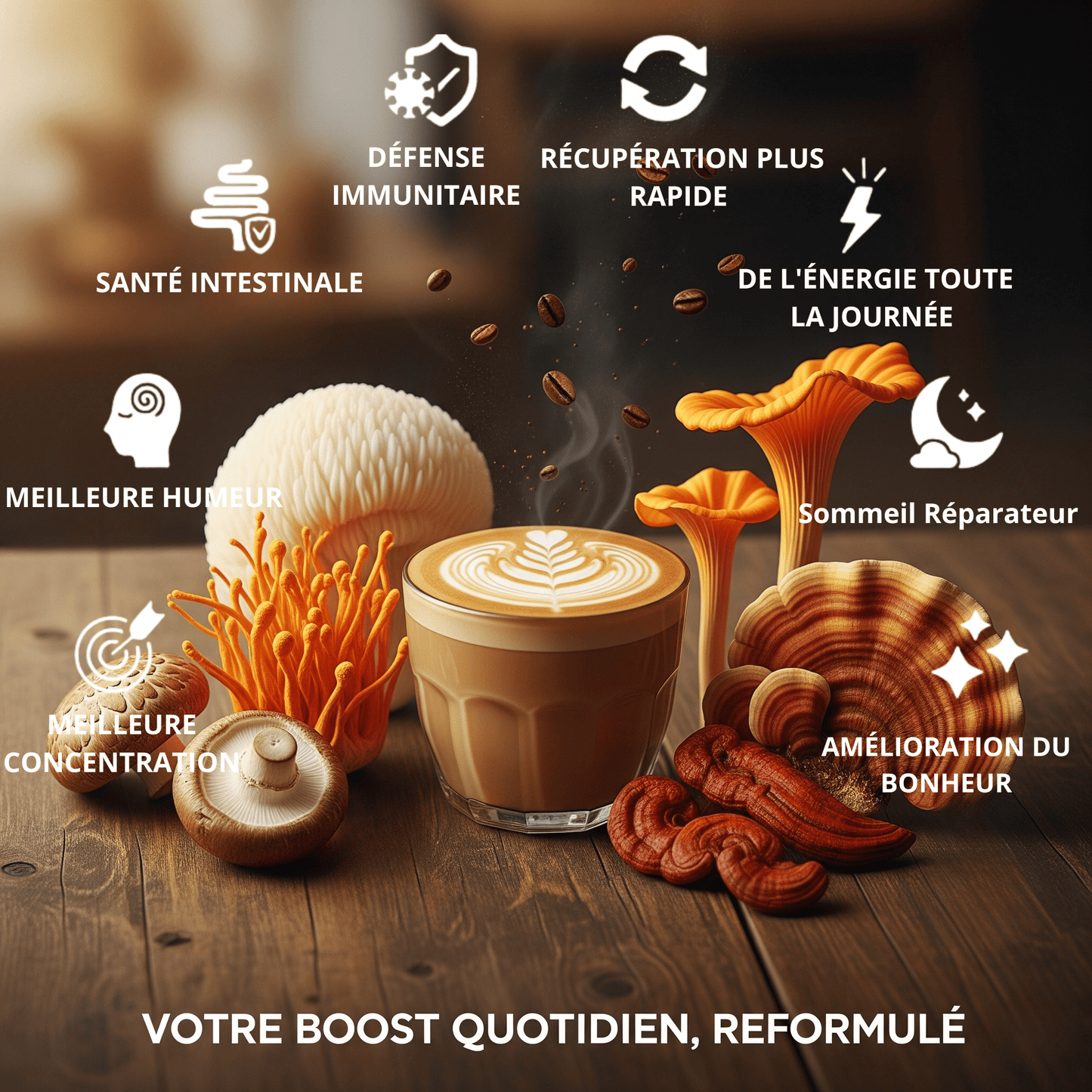 KAFUNGI Café Bio aux 6 Champignons Médicinaux