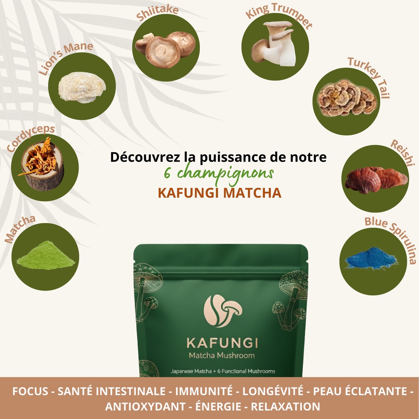 KAFUNGI Matcha Bio aux 6 Champignons Médicinaux
