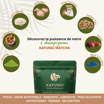 KAFUNGI Matcha Bio aux 6 Champignons Médicinaux